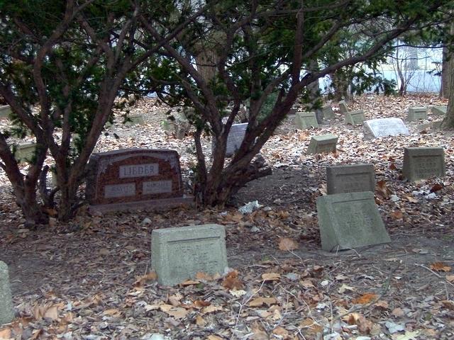 markers and trees