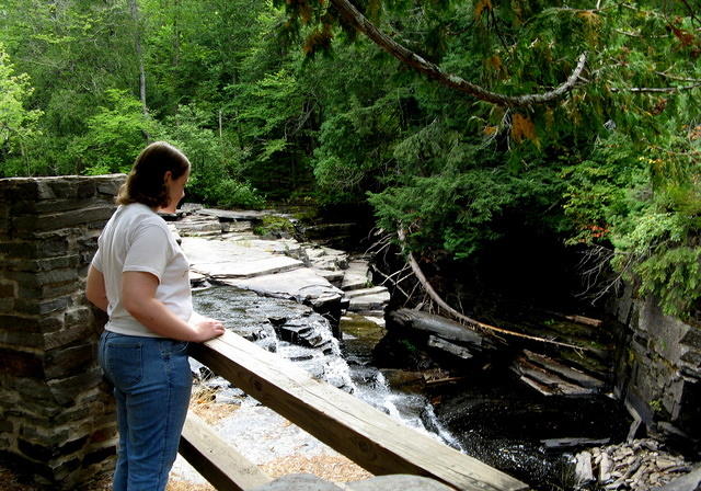 Canyon Falls