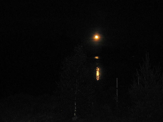 Full moon over the lake