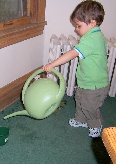 Watering plants