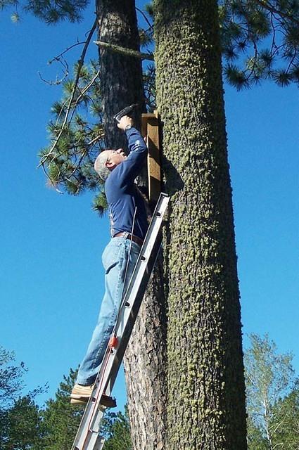 Mike_putting_up_bat_box_001