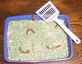 kittylitter_cake