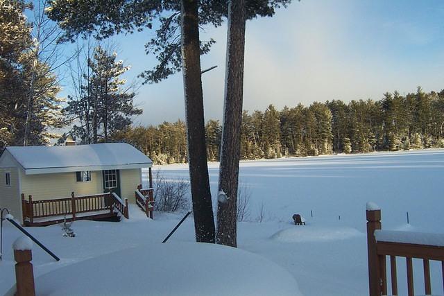 guest_cabin_snow_sun