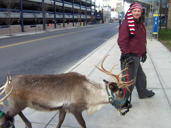 Reindeer_at_Fourth_and_William6