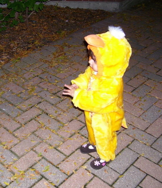 halloween06 020.jpg