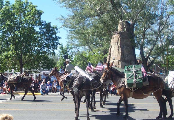 mules_at_cody_parade