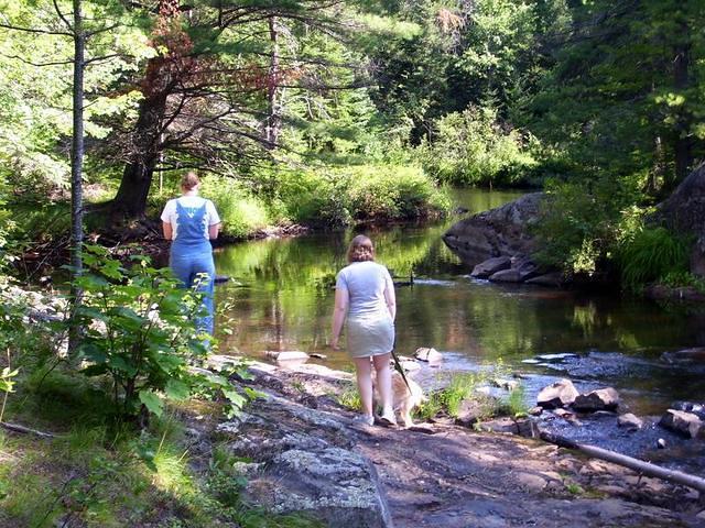 East branch of the Escanaba