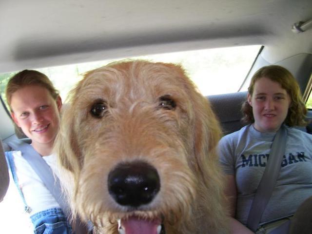 Crowded backseat