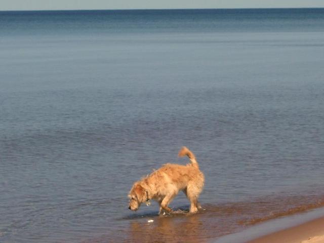 Lake Superior