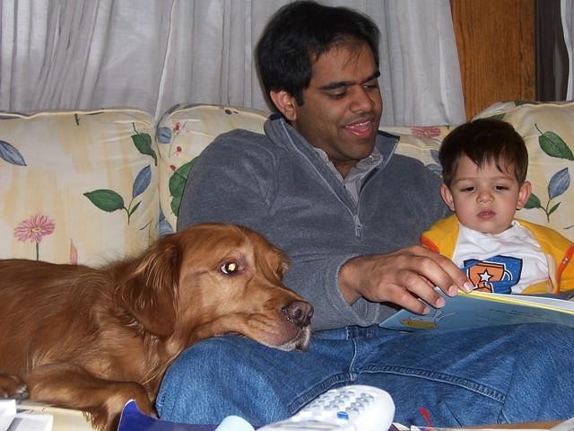 rish reading to casey and dash