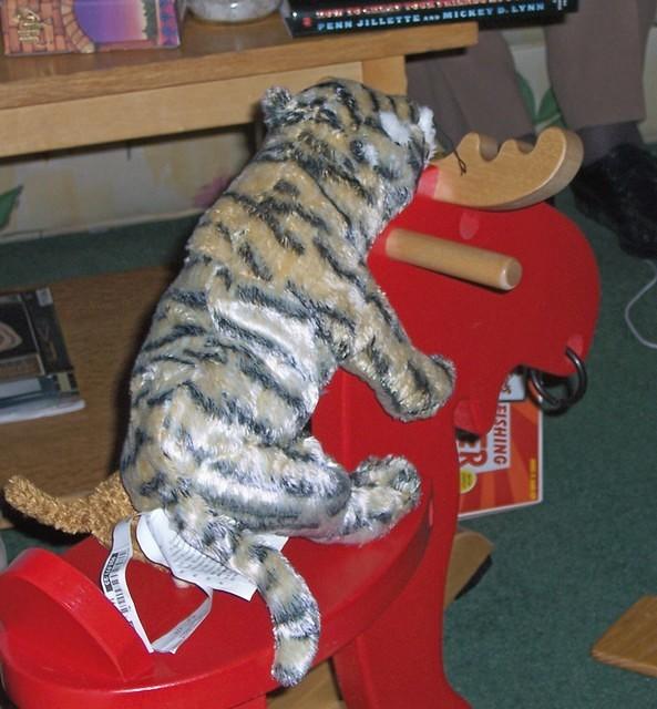 tiger riding moose