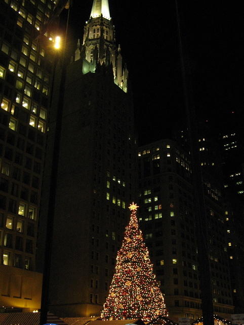 Treetop and steeple