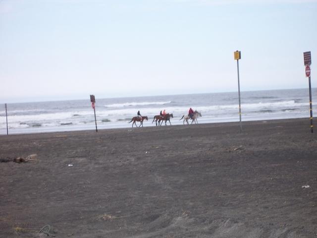 Mouth of the Columbia