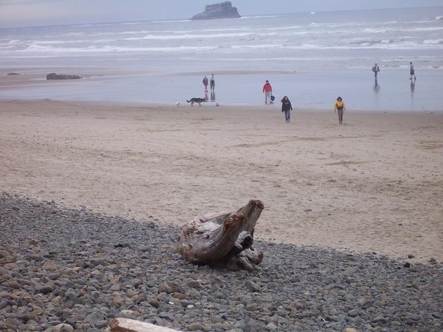 On the beach.