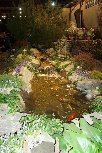 rock_garden_with_fish