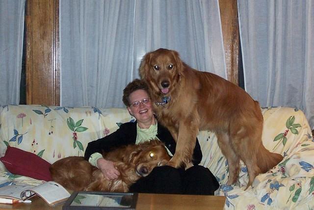 ann_with_dogs