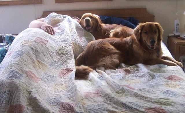 wait_that_s_my_side_of_the_bed