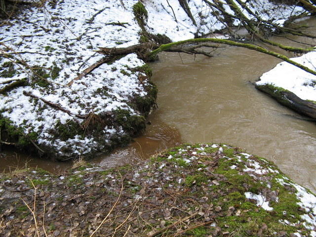 Varying levels of sedimentation