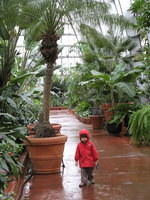 At the conservatory