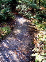 Otto and Miriam Creek in sunlight