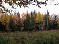 Fall in the U.P.  Formerly Annie Pond