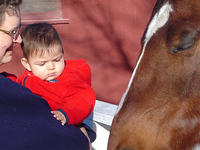 dash_skeptical_with_horse_001