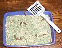 kittylitter_cake