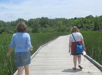 Letterboxing in Lillie Park