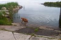 loki_lake_michigan