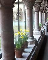 Cloister_pillars