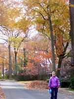 Autumn walk