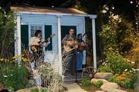 bluegrass_in_the_garden