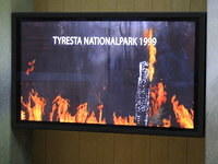 Tyresta National Park